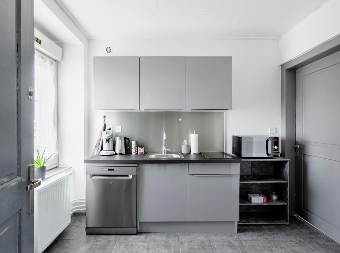 Myhome Basel Rc44B Saint-Louis  Eksteriør bilde